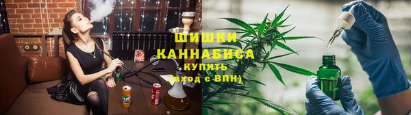 гидра Белокуриха
