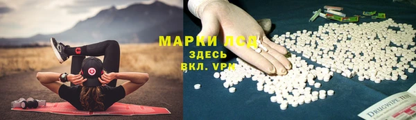 ГАЛЛЮЦИНОГЕННЫЕ ГРИБЫ Балахна