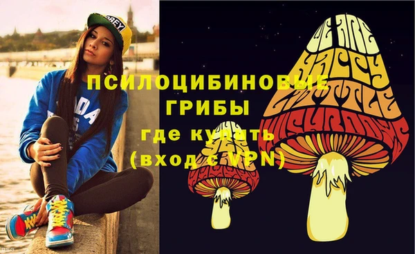гидра Белокуриха