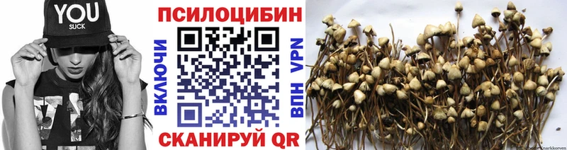 KRAKEN рабочий сайт  Венёв  Псилоцибиновые грибы MAGIC MUSHROOMS 
